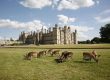 Burghley House- Copyright Burley House 2023